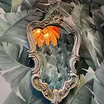 Apartment Panorama Joy - Stilvolle Gemuetlichkeit Mit Weitblick